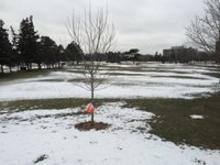 Blog post image