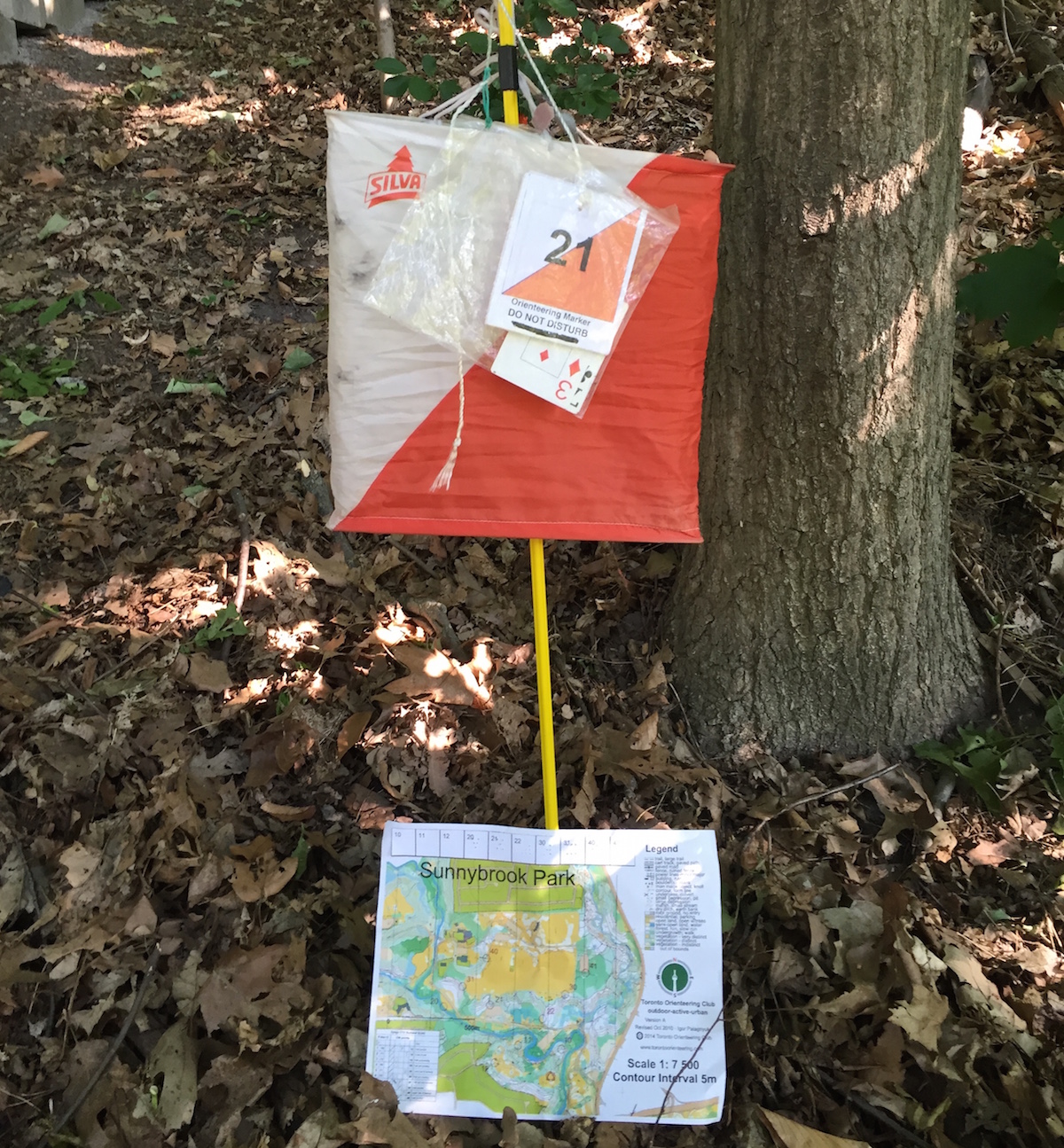 Poker Orienteering